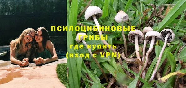метадон Алексин