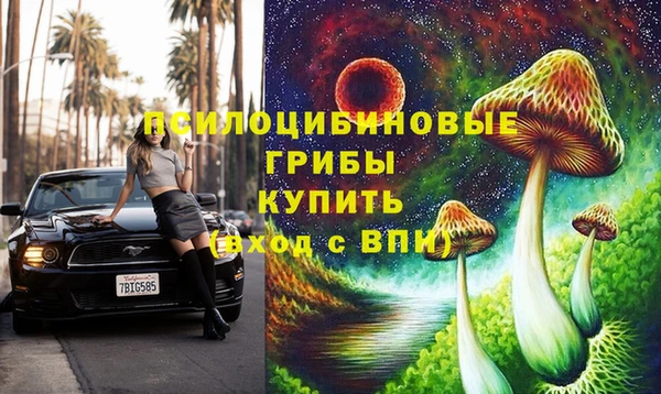 метадон Алексин