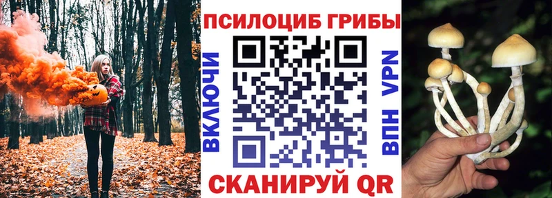 Псилоцибиновые грибы прущие грибы Буй